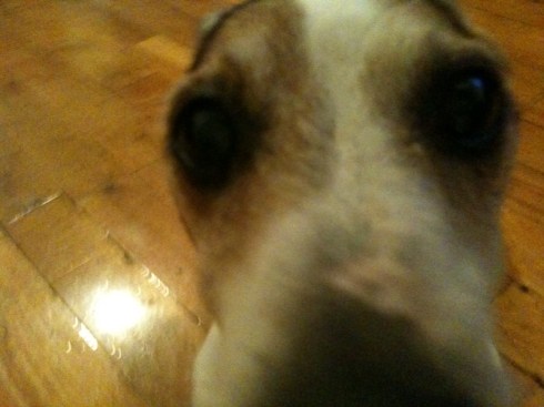 I'm ready for my close-up. 