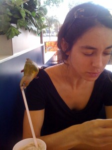 Sneaky sneaky, bird.